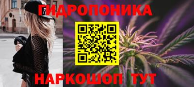 прущие грибы Тара