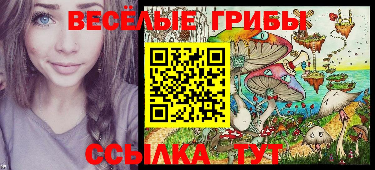 Прокопьевск  Псилоцибиновые грибы Cubensis  Вход с VPN 